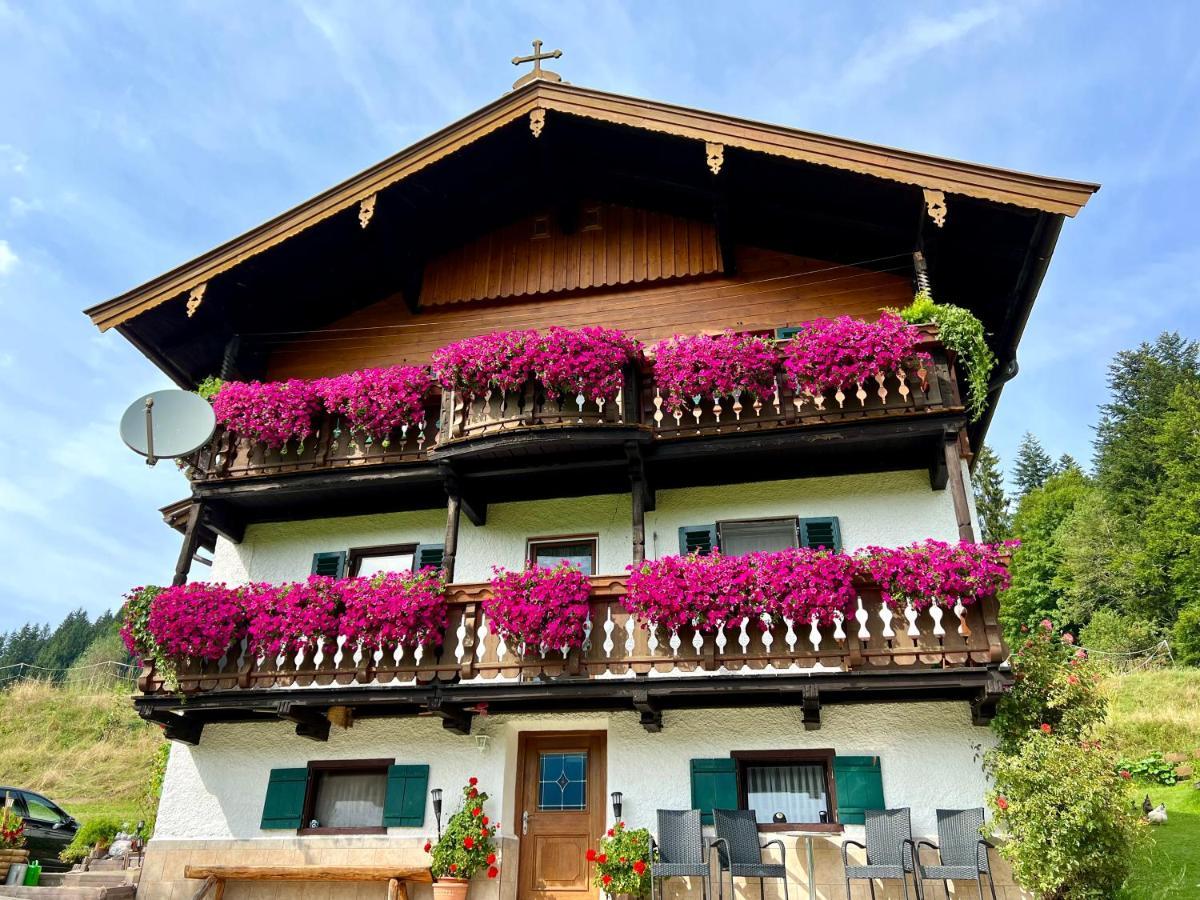 Appartement Sunnseit - Kitzbueheler Alpen Sankt Johann in Tirol Exterior foto